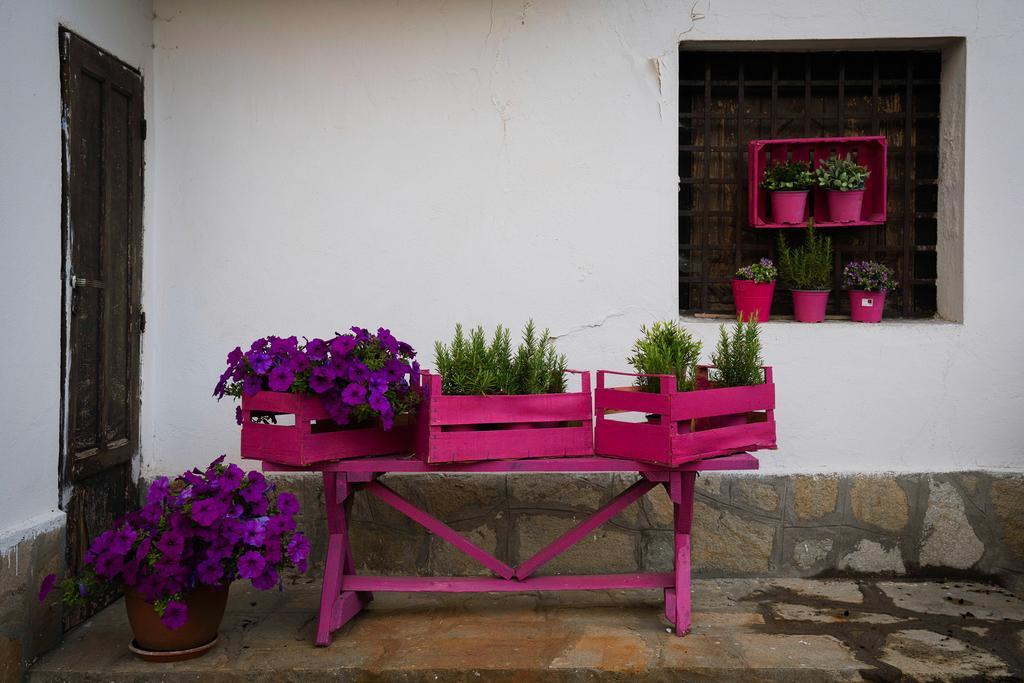 Agriturismo Cascina Del Vai Cairo Montenotte Ngoại thất bức ảnh