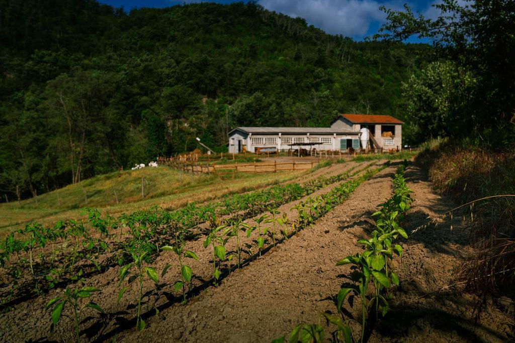 Agriturismo Cascina Del Vai Cairo Montenotte Ngoại thất bức ảnh